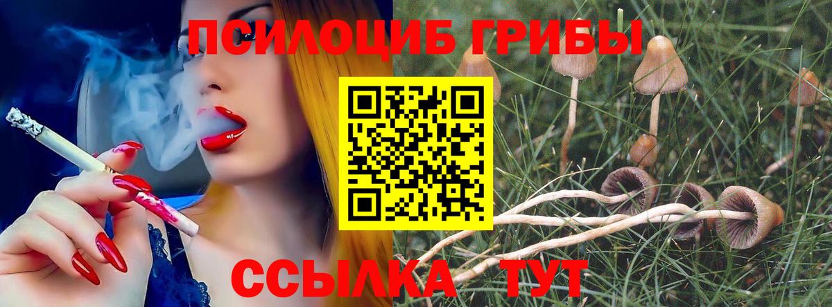 Меф МЯУ МЯУ   ЭКСТАЗИ  Кокаин  Воронеж  Метадон  Гашиш  NBOMe  Бошки Шишки  Вход с VPN  МДМА  Конопля  Где найти наркотики? 