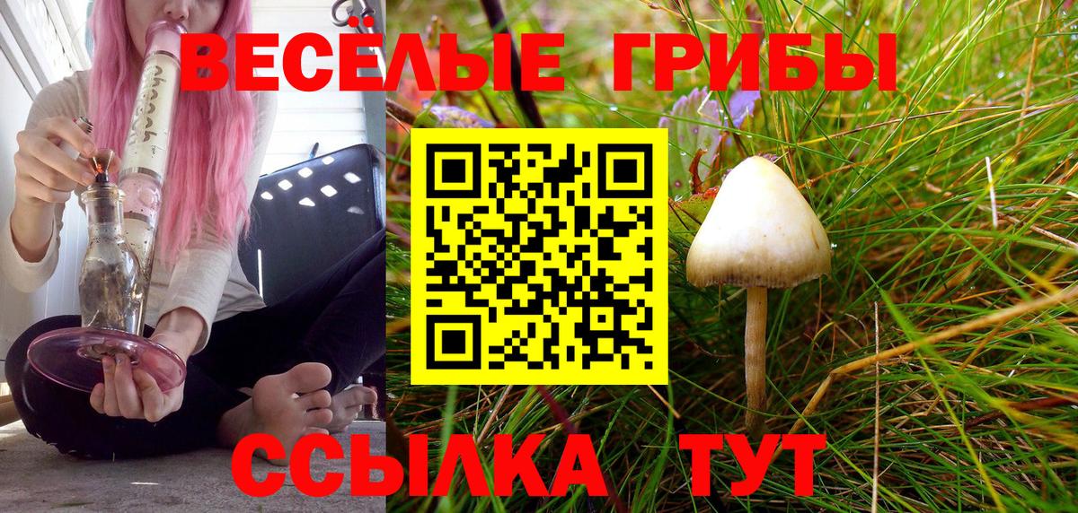Галлюциногенные грибы GOLDEN TEACHER  Галлюциногенные грибы Magic Shrooms  Вход с VPN  Воронеж 
